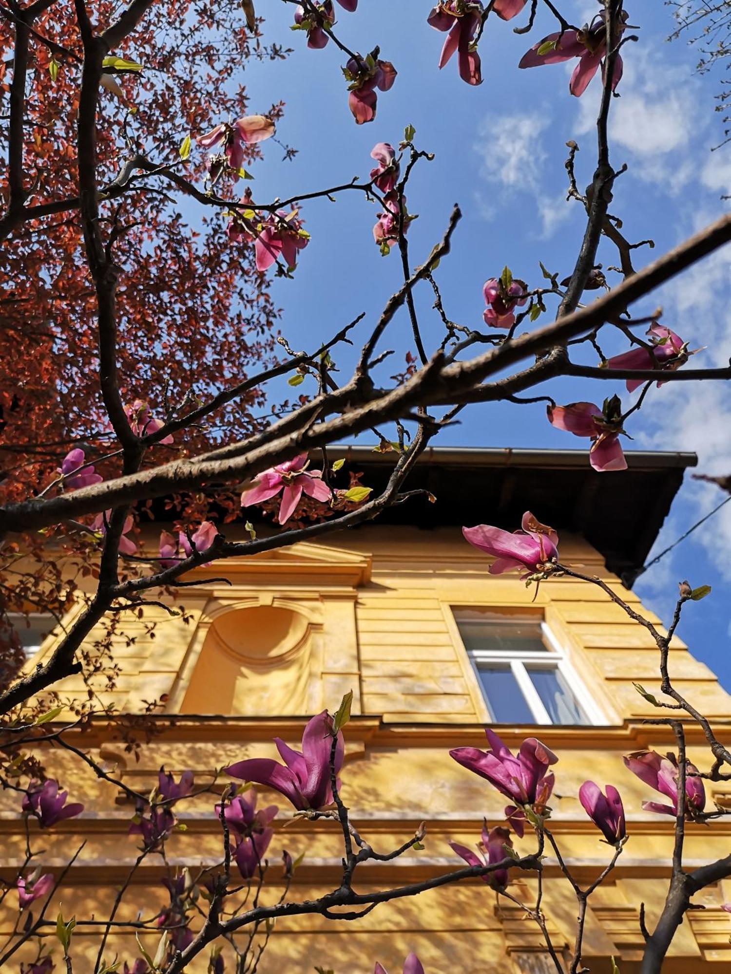 The Villa, Ljubljana City Center Kültér fotó