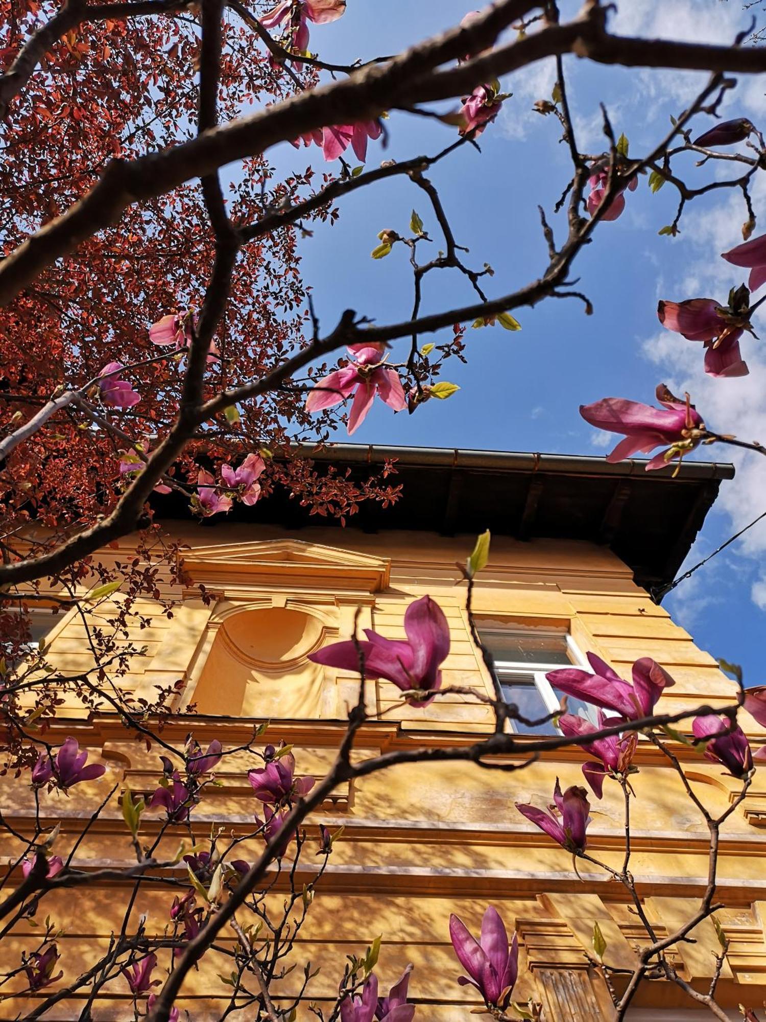 The Villa, Ljubljana City Center Kültér fotó